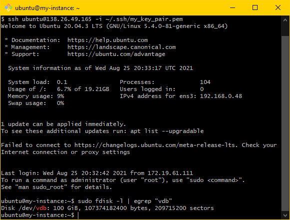 Image showing the MINGW64 terminal on Windows. The last three lines show the sudo fdisk -l command entered. The result includes the disk label /dev/vdb.